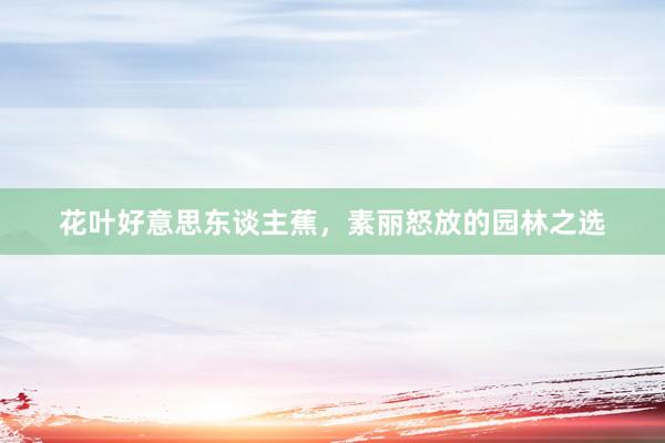花叶好意思东谈主蕉,素丽怒放的园林之选