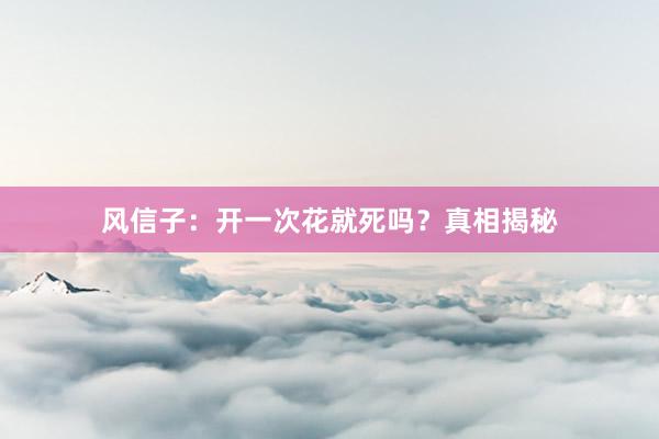 风信子：开一次花就死吗？真相揭秘