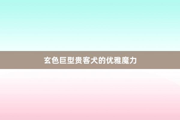 玄色巨型贵客犬的优雅魔力